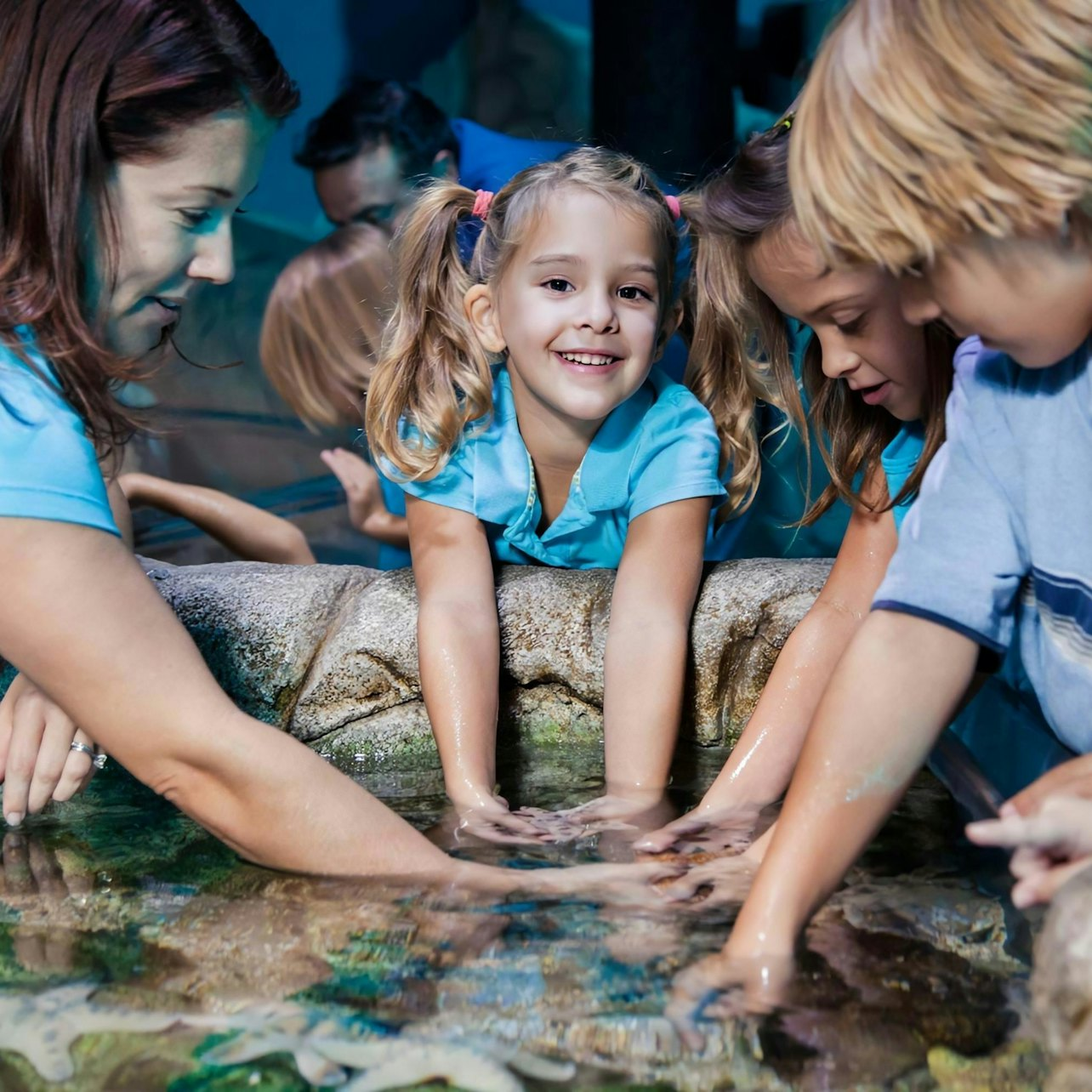 SEA LIFE Manchester - Photo 1 of 7